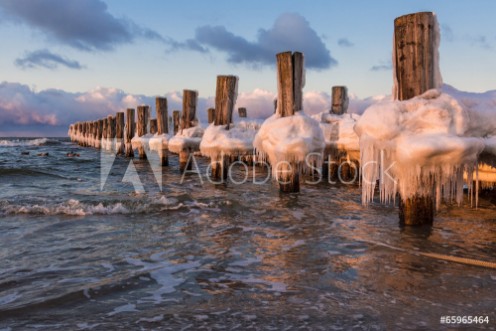 Picture of Buhne an der Ostseekste
